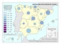 Espana Mortalidad-por-cancer-de-colon 2014 mapa 15342 spa.jpg