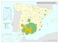 Espana Produccion-de-aceite-de-oliva-virgen 2013 mapa 15124 spa.jpg