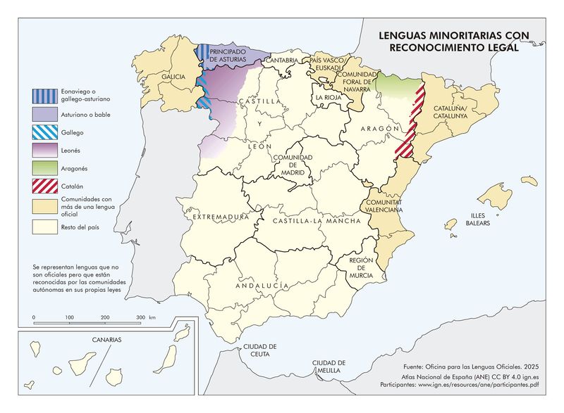 Archivo:Lenguas minoritarias con reconocimiento legal 2025.jpg