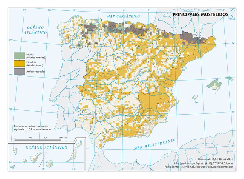 Archivo:Espana Principales-mustelidos 2018 mapa 19323 spa.jpg