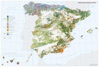 Sección II: Medio natural > Biogeografía y suelos