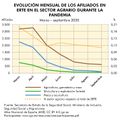 Espana Evolucion-mensual-de-afiliados-en-ERTE-en-el-sector-agrario-durante-la-pandemia 2019-2020 graficoestadistico 18320 spa.jpg