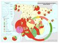 Espana Produccion-de-hortalizas-de-fruto-segun-especie 2013 mapa 15008 spa.jpg