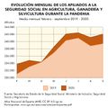Espana Evolucion-afiliados-SS-agricultura--ganaderia-y-silvicultura-durante-la-pandemia 2019-2020 graficoestadistico 18218 spa.jpg
