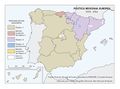 Espana Politica-regional-europea 2000-2006 mapa 15623 spa.jpg