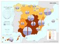 Espana Paro-juvenil 2014 mapa 14173 spa.jpg