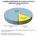Espana Hombres-beneficiarios-de-la-Renta-Activa-de-Insercion-segun-colectivo 2020 graficoestadistico 18570 spa.jpg